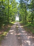 placevi   Beograd okolina  Barajevo    Lisović