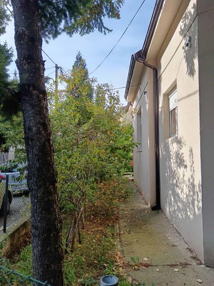 Bild 1807154